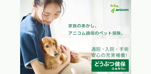 画像：バナー(動物保険)