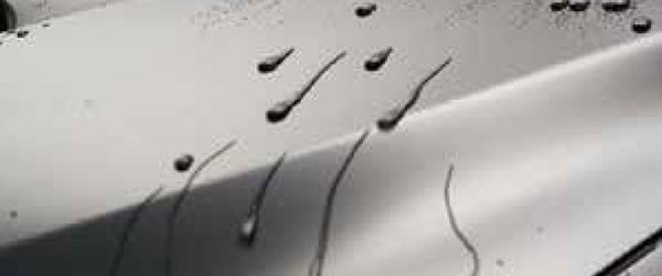 防汚・滑水性能