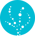 クレベリン消臭加工